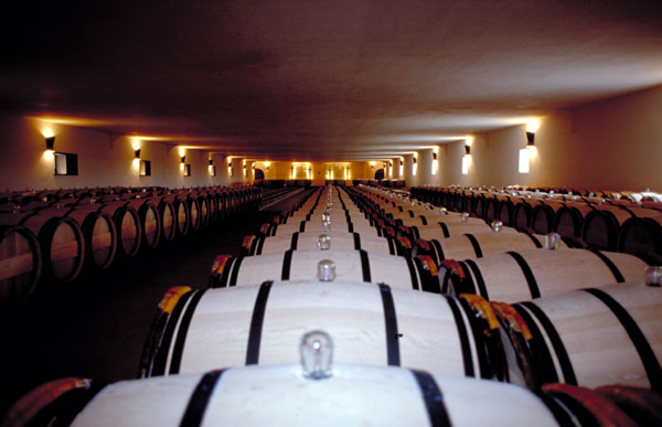 Weinkeller des Château Mouton Rothschild