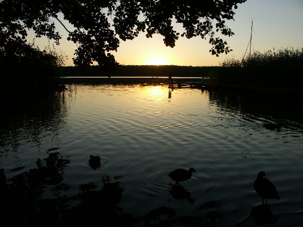 Abendstimmung am Rtzsee