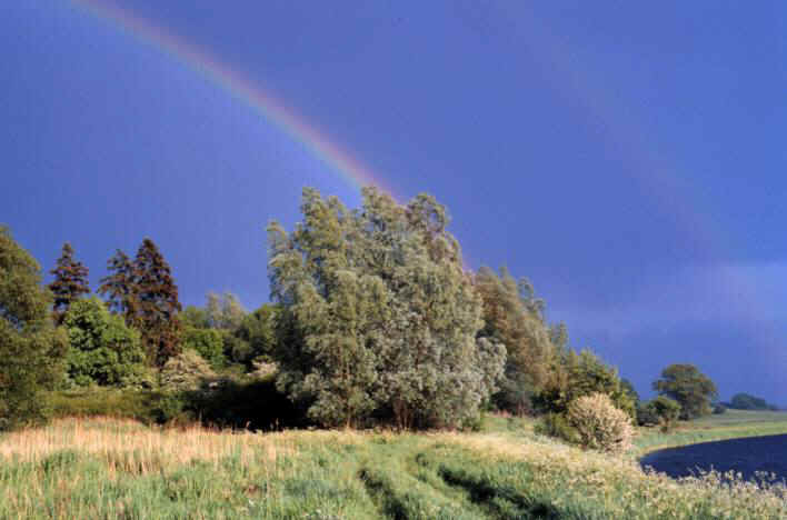 Regenbogen vor dem nchsten Unwetter