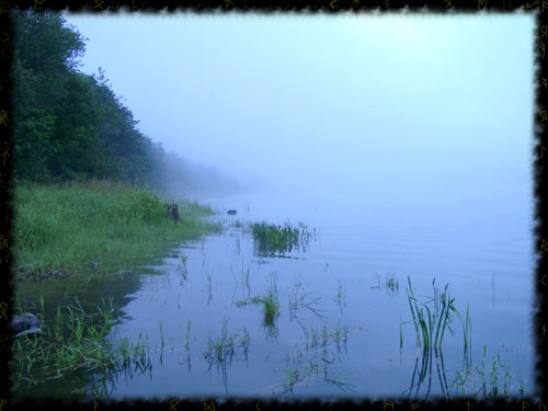 Morgennebel ber dem "Vodni nadrz Lipno"