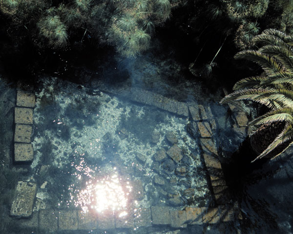 Süßwasserquelle "artemisia"